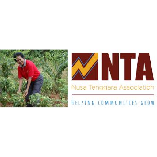 LOGO NTA